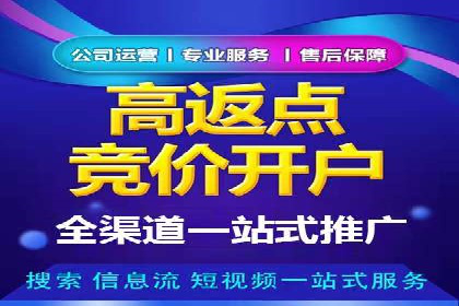 SEM托管服务实战案例：打造高效广告投放策略